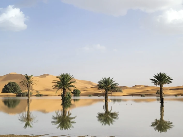 Palm trees are reflected in a lake caused by heavy rainfall in the desert town of Merzouga, near Rachidia, southeastern Morocco, Wednesday, Oct. 2, 2024. (AP Photo)